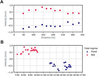 A Field Guide for Monitoring Riverine Macroplastic Entrapment in Water Hyacinths